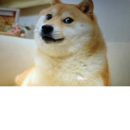 Doge game!