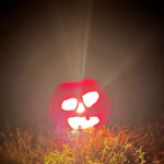 Pumpkins.galore