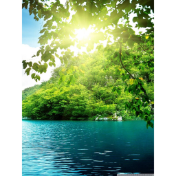 +*{A Peaceful Experience}*+