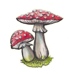 The Mushroom Crime Family.