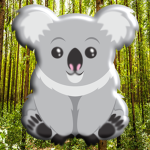 TeamKoalaaa