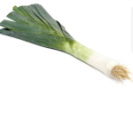 Lauch Gang