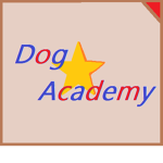 Dog - Academy !