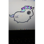 Unicorn Socks Fans! <3