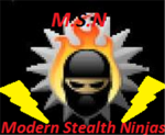 m.s.n(modern stealth ninjas)