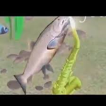salmon mon mon