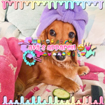* Ava’s Apparel! *