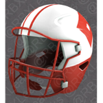 NFL FANS [NFLF]