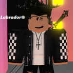 Labrador Clothing