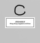 香港水豚航空Hong Kong Cabybara Airlines