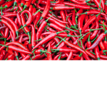thechillis