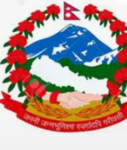 Government of the Spanish Kingdom