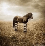 coilhorse37