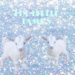 DA LITTLE LAMBS