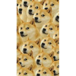 The Doge Club (Doge Forever)