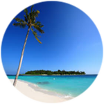 noob island (FAN special)