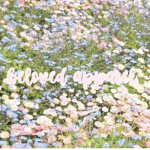 beloved apparel
