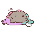 snoozes???