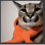 Grupos dos Humilde