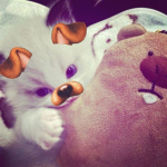 meowiezs