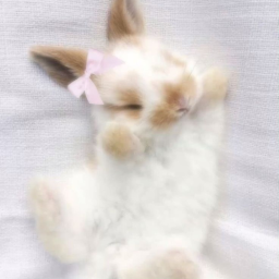 ୨୧
