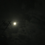 emblem of stars