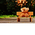 the bears hangout