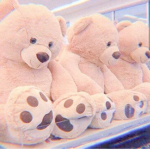 !The teddy bear group!
