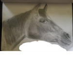 Picture Perfect Horses