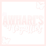 Angels! (Fan Group)