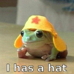 Team frogss