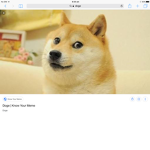 Robux doge group