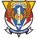 Carrier Airwing 1