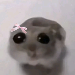 . the #####