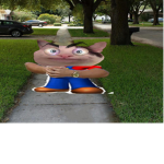 juicebox community