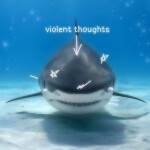 ヾ(๑ •̀ ω •́ ๑)ノ