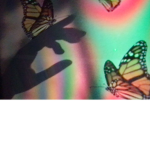 sparkle_butterfly!