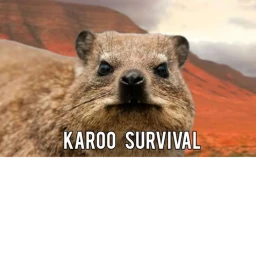 Karoo survival icon