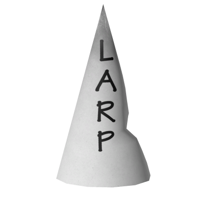 Larp Dunce Hat