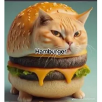 Hamburger drip