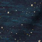 •starrynight*