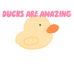 DUCKS ARE AMAZING!!!!!!