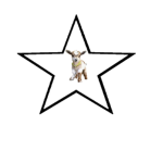 -Goat-