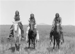 the comanche nation