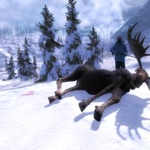 Hunting With Hunter
