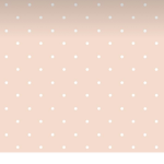eva’s clothing boutique!