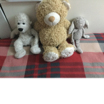 Victory teddy’s yay