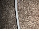 9ine tail