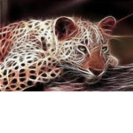 Neon leopards