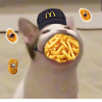 $P0NGY$